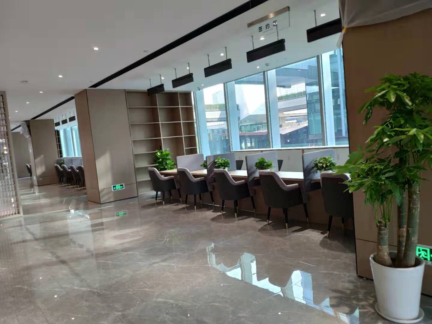 西安蓮湖區(qū)綠植租賃公司，西安綠植墻