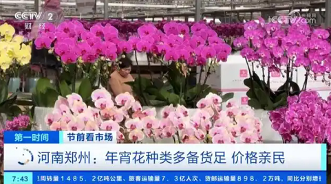 年貨市場人氣旺 繽紛好物迎新春